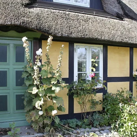 Vakantiehuis Reetdach-ferienhaus-mit-traumhaftem-panoramameerblick *